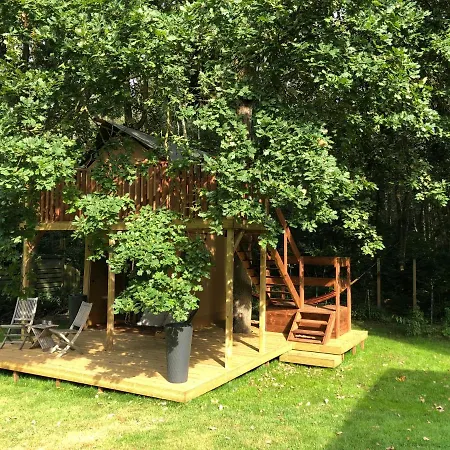 Kabana - Eco Forest *